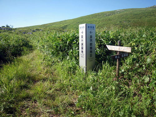 IMGP5009s.jpg