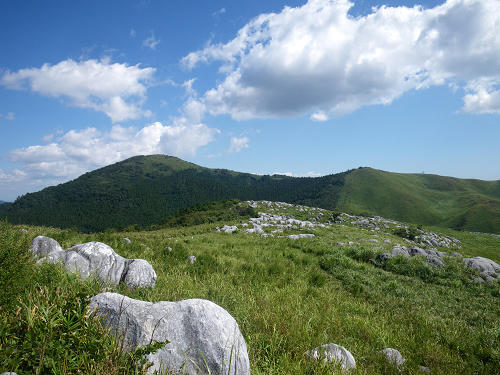 7d4ea131.jpg