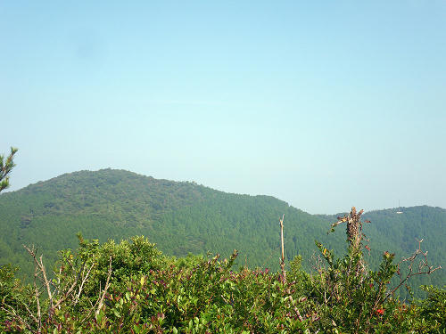 IMGP5424s.jpg