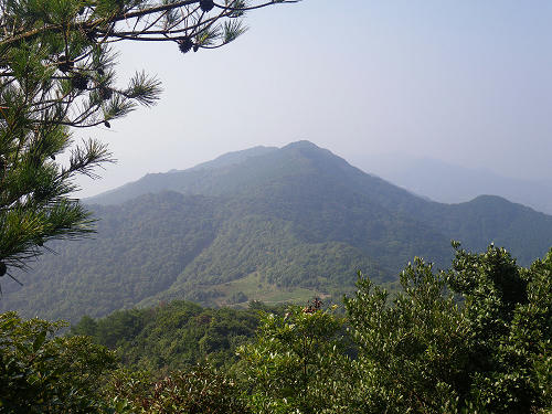 IMGP5426s.jpg
