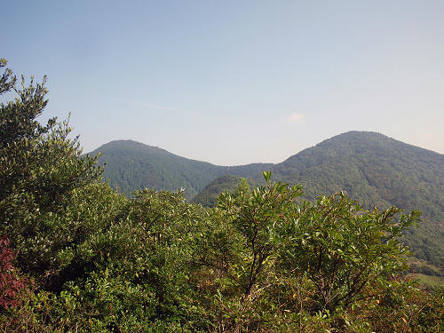 IMGP5438s.jpg