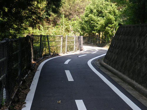IMGP5473s.jpg