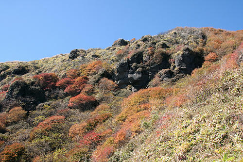 IMG_7692s.jpg