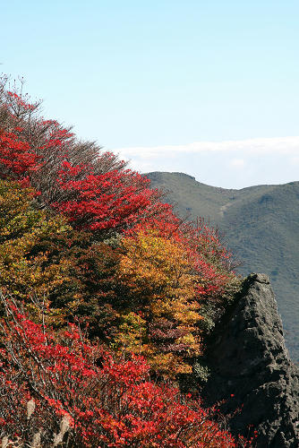 IMG_7617s.jpg