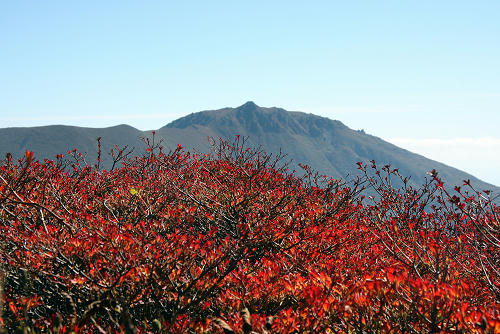 IMG_7641s.jpg
