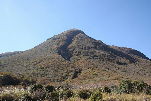 IMG_7696s.jpg