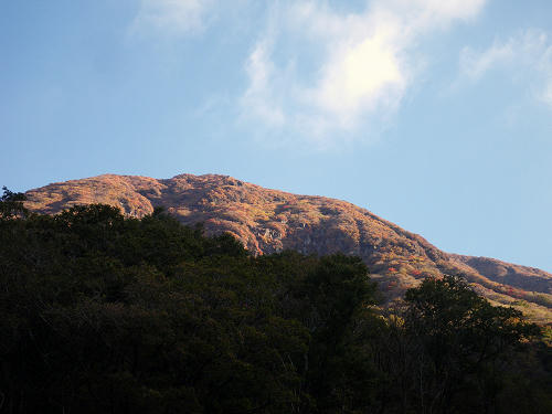 IMGP5719s.jpg