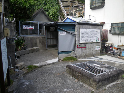 IMGP5536s.jpg