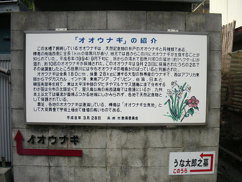 IMGP5526s.jpg