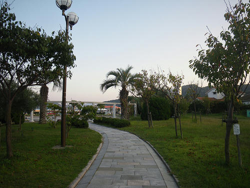 IMGP5542s.jpg