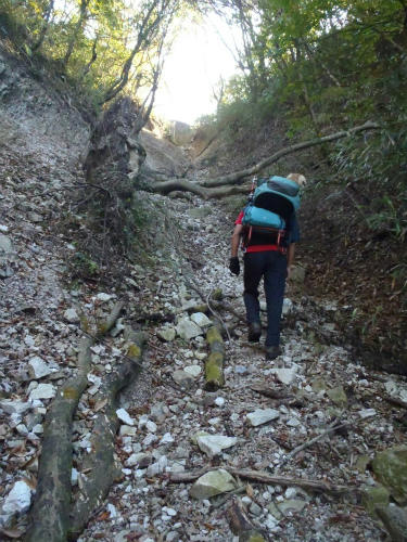 PA271307.jpg