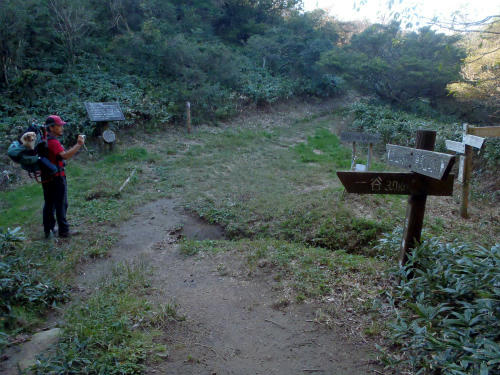PA271323.jpg
