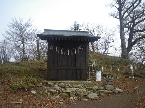 IMGP6484s.jpg