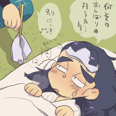 風邪を引いたようだ
