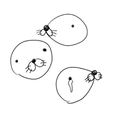 ぼのぼの