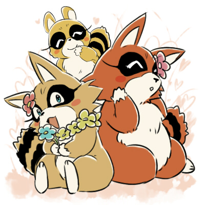 アライグマ一家