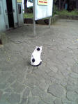 kouentoireneko