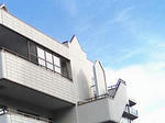 kaidanneko