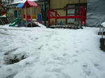 P11003341.JPG