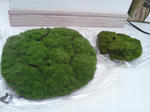 SH3K0206.jpg