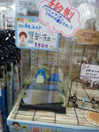 SH3K0317.JPG