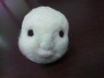 SH3K0382.JPG