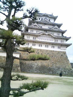 中間地点