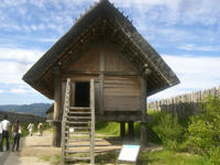 CIMG3077.JPG