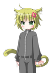 preview12.png