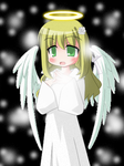 preview17.png