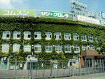 img1011969136.jpeg
