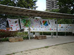 resize2596.jpg