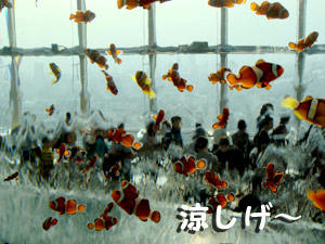 2008_B36.jpg
