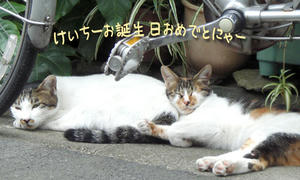 2009_B40.jpg