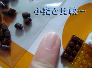 2009_B41.jpg