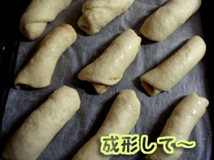 2009_B49.jpg