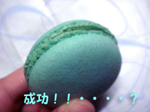 2009_B60.jpg