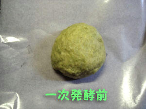 2009_B73.jpg