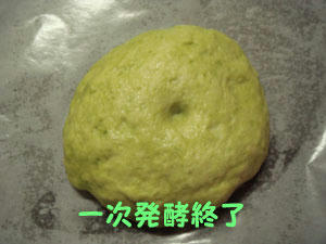 2009_B74.jpg