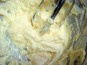 2009_B118.jpg