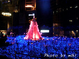 2009_B133.jpg