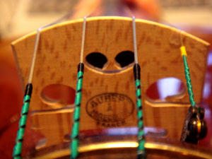 2009_B135.jpg