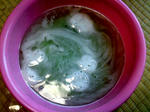 tt098.JPG