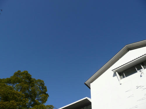 c8f75263.JPG