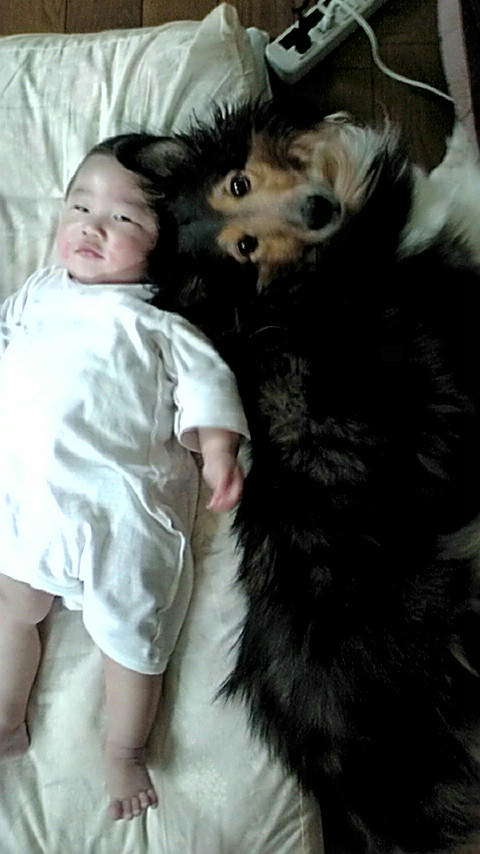 20120530093120.jpg