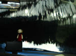 ecaa8956.jpg