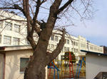 f78c0321.jpg