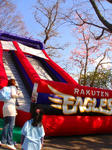 71d35831.jpg