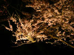 5f984ca7.jpg
