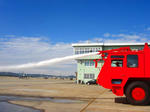 d1da8128.jpg